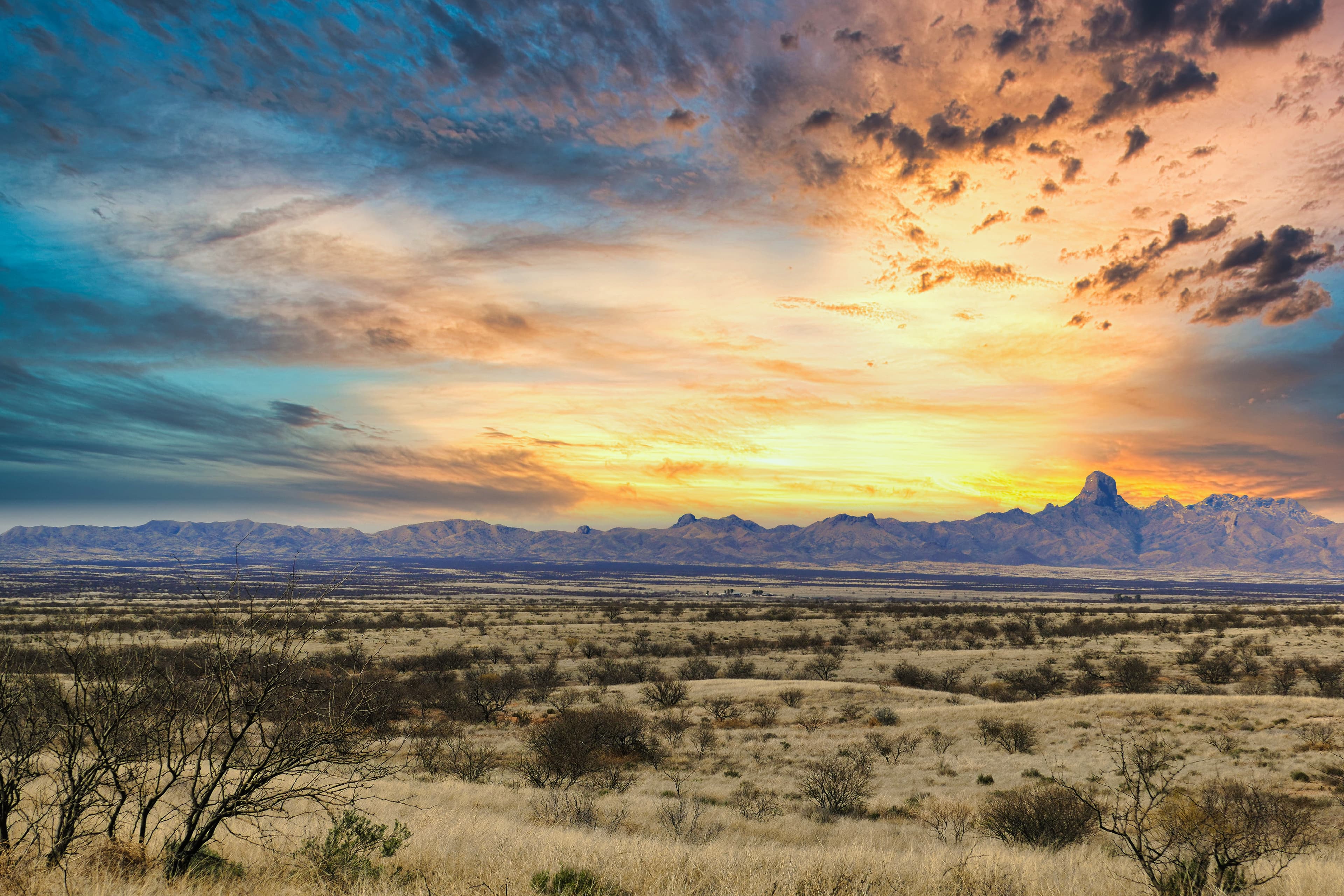 Arizona grassland background